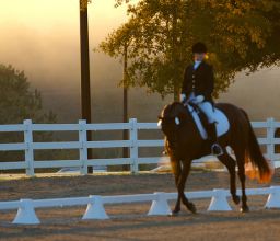 Georgia International Horse Park “Groomed for Greatness”